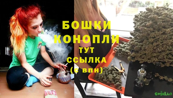 ГАЛЛЮЦИНОГЕННЫЕ ГРИБЫ Верхний Тагил
