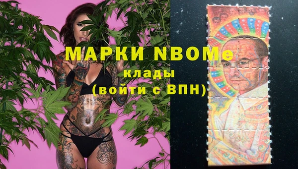 крисы Бронницы