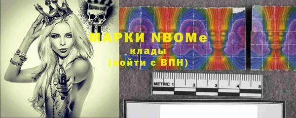 крисы Бронницы